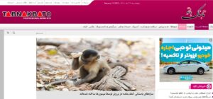 رپورتاژ آگهی تابناک باتو